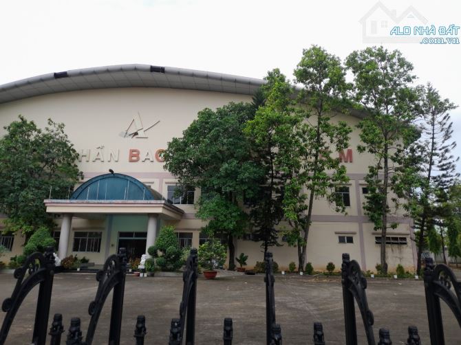 Cho thuê kho xưởng khu công nghiệp cát lái 2000 M2 - 4