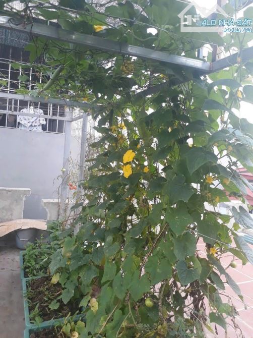 Bán nhà Yên Xá, Tân Triều, Hà Nội, Dt: 32m2, 4,5 tầng, ôtô đỗ gẫn - 4