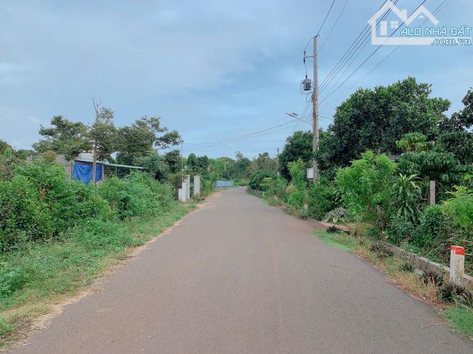 Bán khoảng 4 sào 4 (4435m2) đất Láng Lớn, huyện Châu Đức, BRVT. - 7