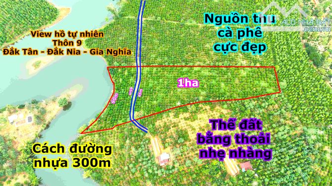 Đất view hồ tự nhiên,nguồn thu mạnh, giá rẻ tại thành phố Gia Nghĩa