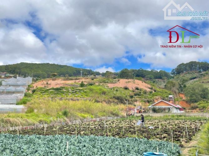 3812 🏞⛺️🏡 ĐẤT DIỆN TÍCH LỚN MIMOSA PHƯỜNG 10 - SẴN 300M2 XD - VIEW ĐỒI NÚI RỪNG THÔNG