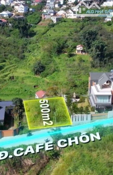 Đất View Thông Hoàng Hoa Thám - P10 - Đà Lạt