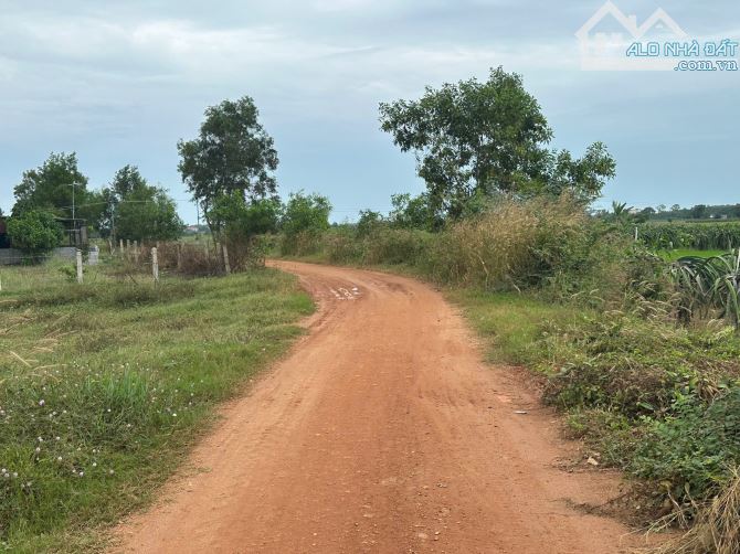 Bán Đất ngợp đường Đống Đa xã Tân Tiến Thị xã Lagi cách biển 2 km