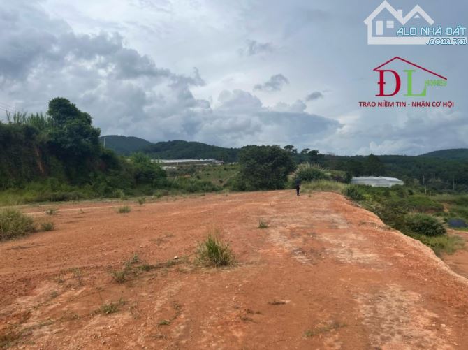 3812 🏞⛺️🏡 ĐẤT DIỆN TÍCH LỚN MIMOSA PHƯỜNG 10 - SẴN 300M2 XD - VIEW ĐỒI NÚI RỪNG THÔNG - 1