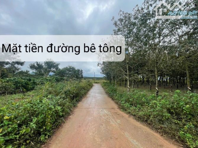 XẢ NHANH LÔ ĐẤT 2 mặt tiền đường BÊ TÔNG, NGAY KDC, 611m2 - QUY HOẠCH ĐẤT Ở CHỈ 280 TRIỆU - 1