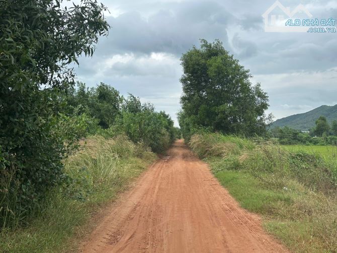 Bán Đất ngợp đường Đống Đa xã Tân Tiến Thị xã Lagi cách biển 2 km - 1