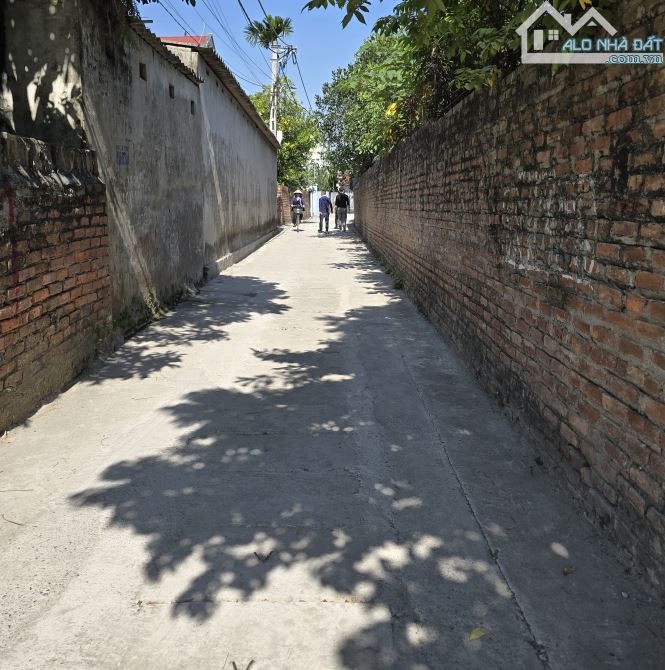 Bán đất Đoài Nam Hồng lô góc ô tô 65m 3.3 tỷ Đông Anh - 2