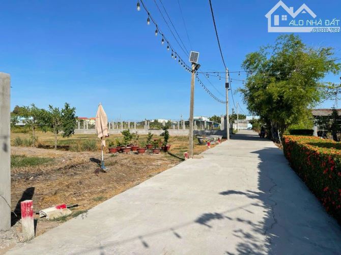 Cần Bán 1577m2 Có 254m2 Đất Thổ, Cách Quốc Lộ 50 Chỉ 500m, Sổ Hồng Riêng - 2