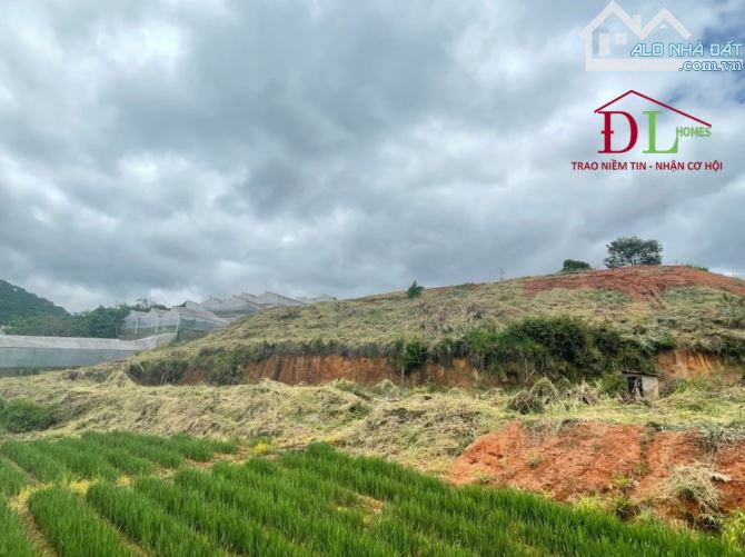 3812 🏞⛺️🏡 ĐẤT DIỆN TÍCH LỚN MIMOSA PHƯỜNG 10 - SẴN 300M2 XD - VIEW ĐỒI NÚI RỪNG THÔNG - 2