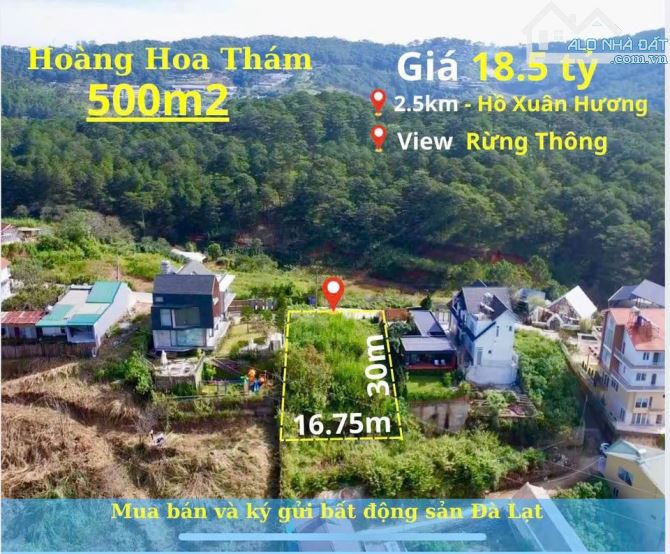 Đất View Thông Hoàng Hoa Thám - P10 - Đà Lạt - 2