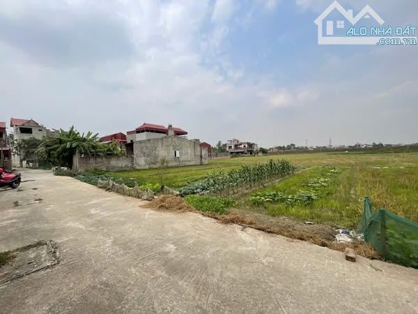 Bán đất xóm Bến - Đông Xuân - Sóc Sơn - 150m2 Full thổ - MT 8m - Đường ô tô tải - 2