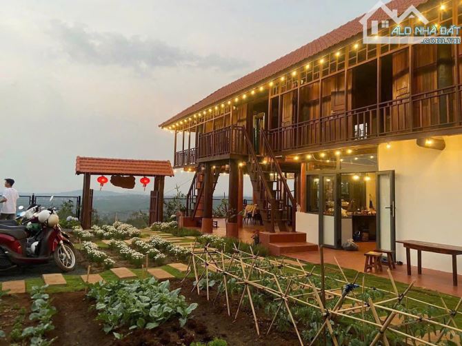 💥 BÁN HOMSTAY SIÊU ĐẸP NGAY LÒNG TP BMT DANG KINH DOANH TỐT THỔ CƯ 100% - 3