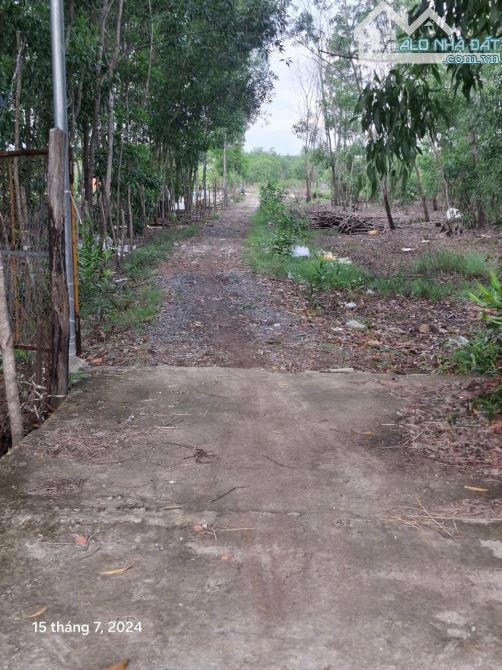 Bán gấp trong tuần đất Long Thọ Nhơn Trạch,giá rẻ 1,2tr/m,xây nhà vườn,nhà trọ.GỌI NGAY - 3