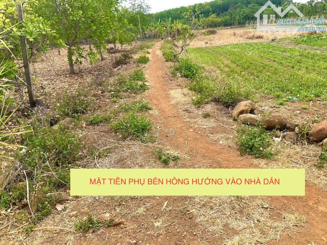 SỞ HỮU SỔ HỒNG VỚI GIÁ NHẸ TÊNH📕  🏵️EaMdroh, Cư Mgar, cách TP. Buôn Ma Thuột chỉ 29km - 4