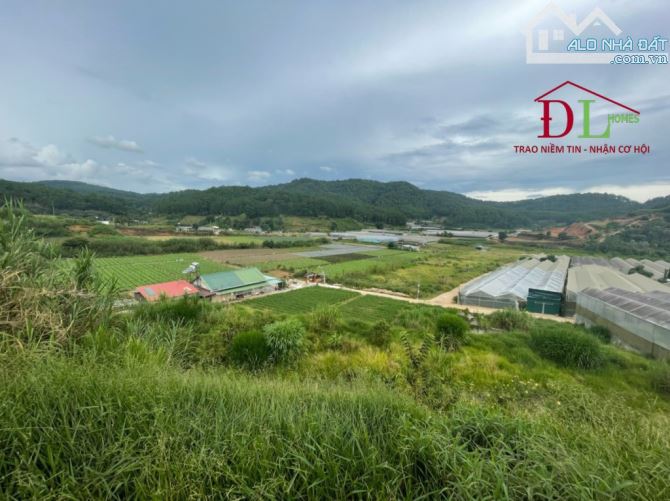 3812 🏞⛺️🏡 ĐẤT DIỆN TÍCH LỚN MIMOSA PHƯỜNG 10 - SẴN 300M2 XD - VIEW ĐỒI NÚI RỪNG THÔNG - 4