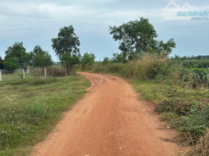 Bán Đất ngợp đường Đống Đa xã Tân Tiến Thị xã Lagi cách biển 2 km - 4