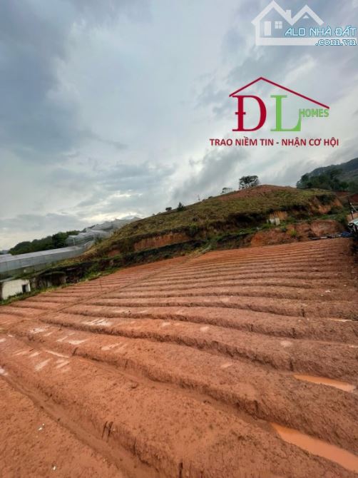 3812 🏞⛺️🏡 ĐẤT DIỆN TÍCH LỚN MIMOSA PHƯỜNG 10 - SẴN 300M2 XD - VIEW ĐỒI NÚI RỪNG THÔNG - 5