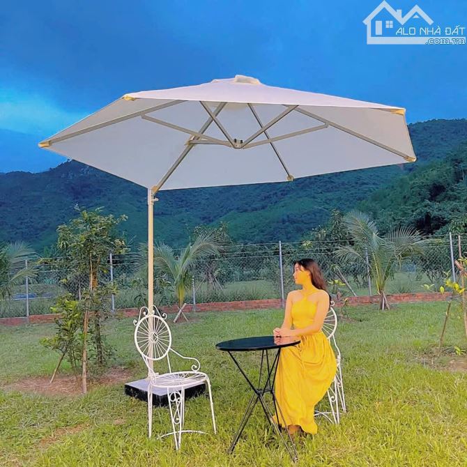 💥 Làm việc trực tiếp 👉BÁN HOMSTAY 2200m2 XÃ HÒA BẮC ( 1185M2 SỔ) giá rẻ bèo 🔥 - 5