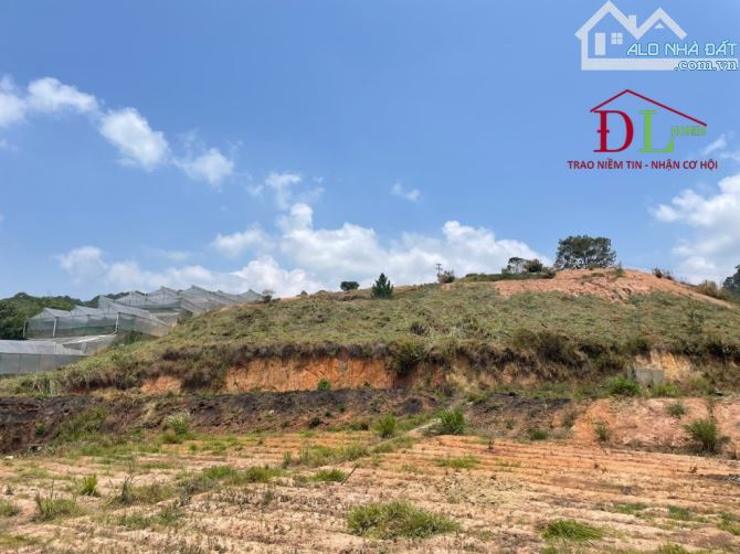 3812 🏞⛺️🏡 ĐẤT DIỆN TÍCH LỚN MIMOSA PHƯỜNG 10 - SẴN 300M2 XD - VIEW ĐỒI NÚI RỪNG THÔNG - 6