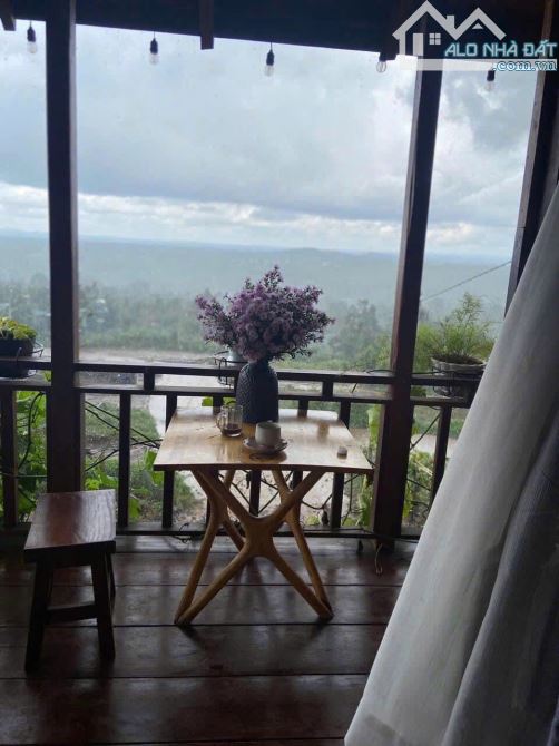 💥 BÁN HOMSTAY SIÊU ĐẸP NGAY LÒNG TP BMT DANG KINH DOANH TỐT THỔ CƯ 100% - 8