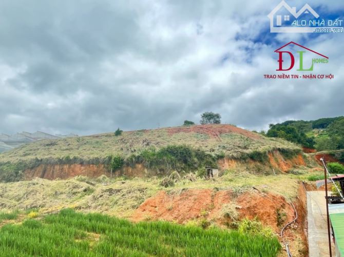 3812 🏞⛺️🏡 ĐẤT DIỆN TÍCH LỚN MIMOSA PHƯỜNG 10 - SẴN 300M2 XD - VIEW ĐỒI NÚI RỪNG THÔNG - 8