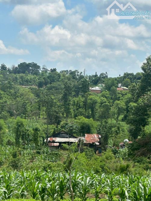 cần bán gấp 1,75ha tại cua 47 quảng hiệp cách trục chính chỉ 1km