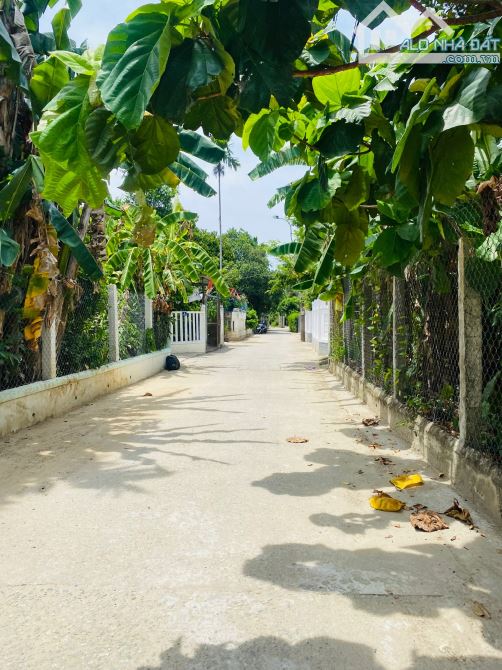 💎💎💎 Bán 331m2 đất kiệt Nguyễn Phúc Nguyên, TP. Huế gần cầu Nguyễn Hoàng đang xây dựng.