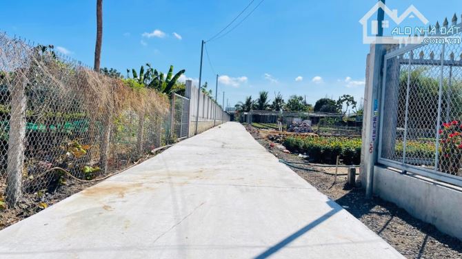 🔺Đất đẹp 500m2 (10x50m) đối diện KCN giá gỉ 1tỷ3 - 2