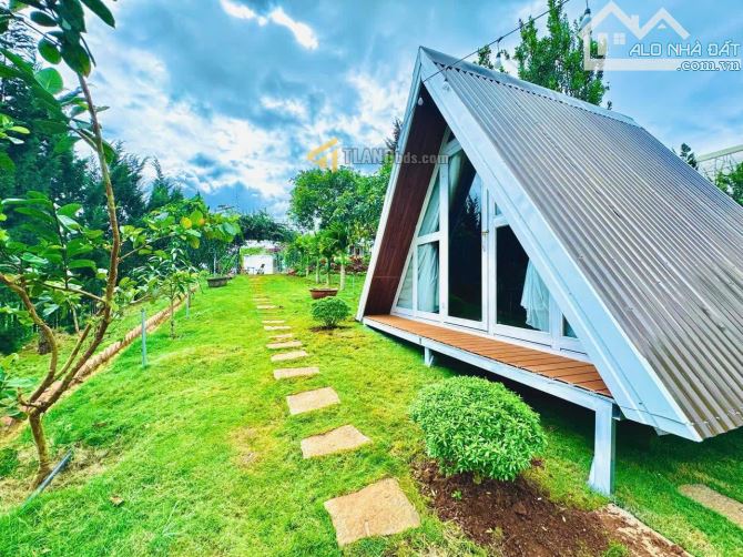 Homestay Đà Lạt 2000m2 sân vườn đẹp gồm 1 villa 4 bungalow hồ cá giá chỉ 12.5 tỷ - 10