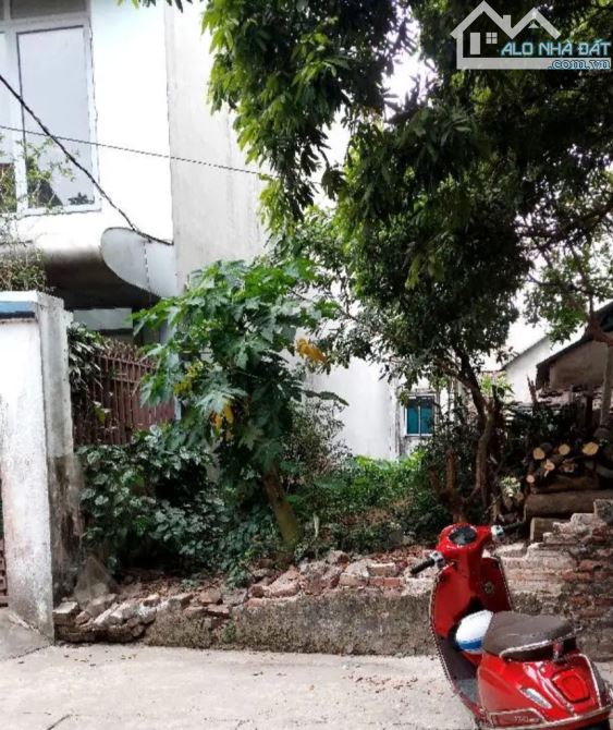 BNS GẤP LÔ ĐẤT SIÊU HIẾM TẠI DƯƠNG XÁ, GIA LÂM, HÀ NỘI DT 81M NGÕ RỘNG Ô TÔ VÀO ĐẤT. - 1