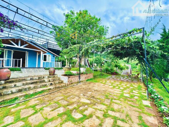 Homestay Đà Lạt 2000m2 sân vườn đẹp gồm 1 villa 4 bungalow hồ cá giá chỉ 12.5 tỷ - 13