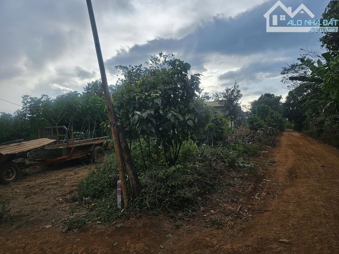 cần tiền tiêu tết hạ giá bán 3 nền đất thổ cư xã Ea tar Cư M’gar Đăklak - 2