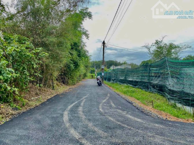 chính chủ bán 40m ngang đất đường nhựa hương lộ 2 củ chi phù hợp quy hoạch tách lô nhỏ - 3