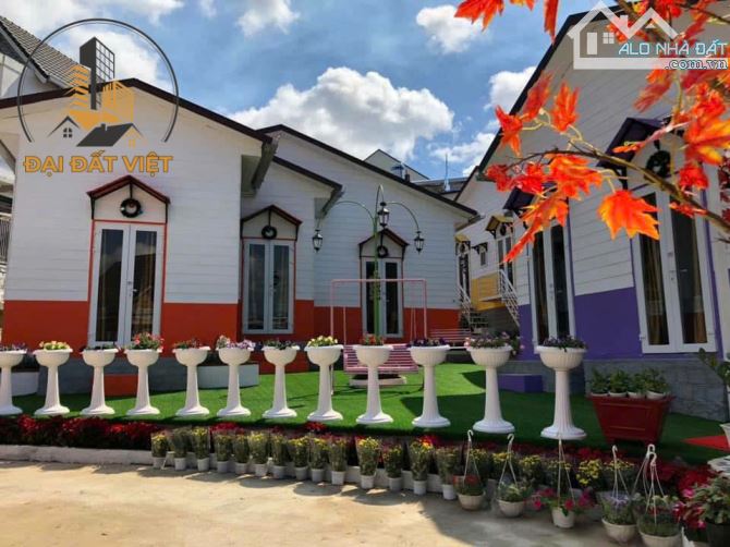 Bán Khu Homestay Đường Trạng trình, P9, Đà Lạt - 57 tỷ - 4