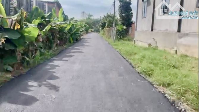 chính chủ bán 40m ngang đất đường nhựa hương lộ 2 củ chi phù hợp quy hoạch tách lô nhỏ - 4