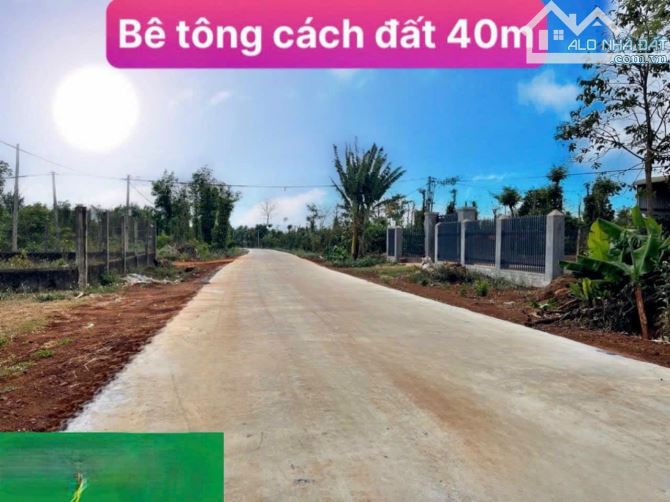 bán vườn cafe xã Ea Kiết Huyện cư Mgar , Đăklak giá 230tr - 4