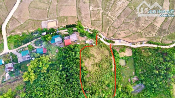 3170m Rừng Sản Xuất Thoải Đẹp Bám Đường Đường Bê Tông - Gần Đường Lớn