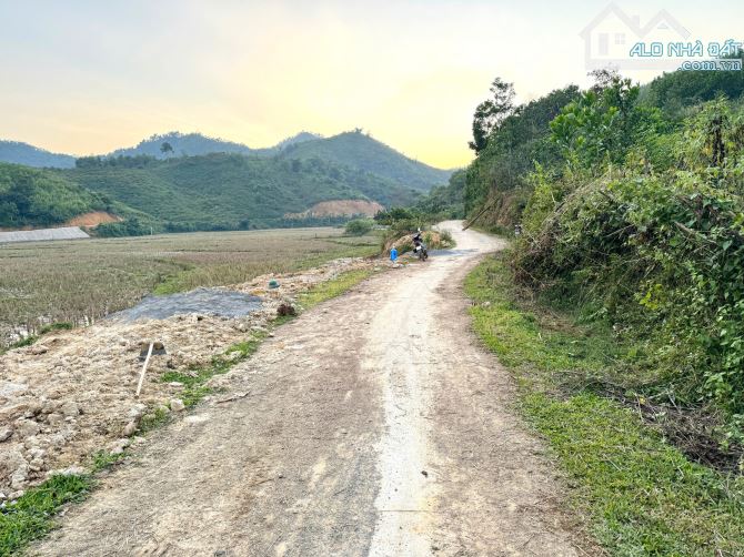 3170m Rừng Sản Xuất Thoải Đẹp Bám Đường Đường Bê Tông - Gần Đường Lớn - 1