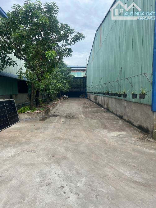 Cho thuê kho xưởng kcn Hiệp Phước 3000 m2 - 1