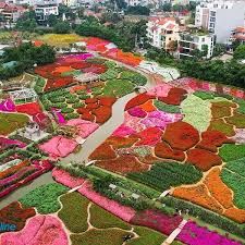 BÁN 120M ĐẤT VÀNG HỒ TÂY, TÔ NGỌC VÂN GIAO THOA ÂU CƠ, NHẬT CHIÊU, TRỊNH CÔNG SƠN, 54 TỶ - 1