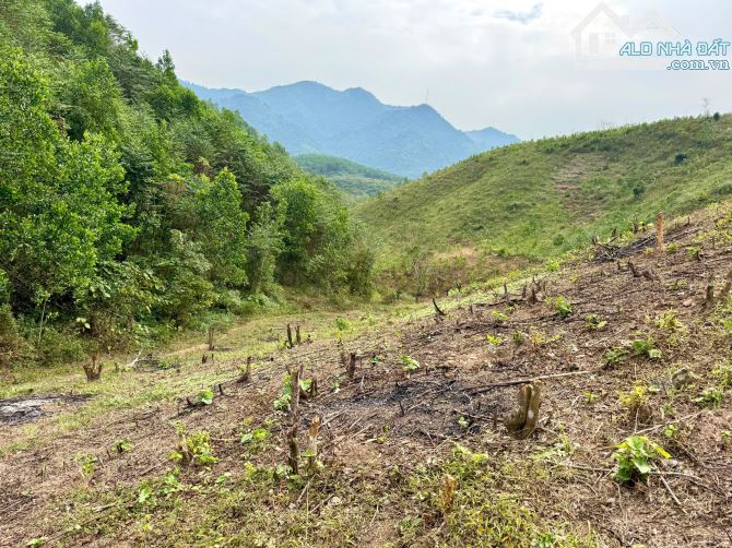 2.7ha Rừng Sản Xuất - Đất Thoải - Đường Xe Vào Tận Đất - Giá Rẻ Bất Giờ 550 Triệu - 2