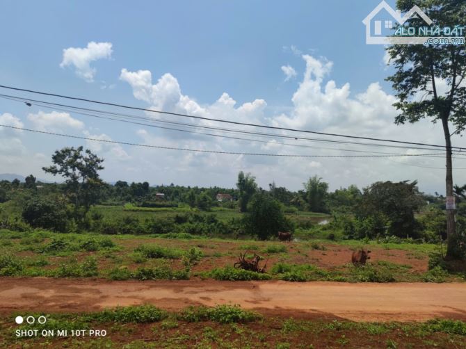 🌻🌻 BÁN 263M² ĐẤT THỔ CƯ, TẠI VIỆT ĐỨC 3 CƯKUIN GIÁ CHỈ 770TR - 3