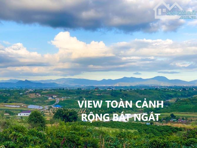 9000m2 đất vườn đẹp Tân Hà Lâm Hà 400m thổ cư cà phê sầu riêng điện suối ao nước quanh năm - 4