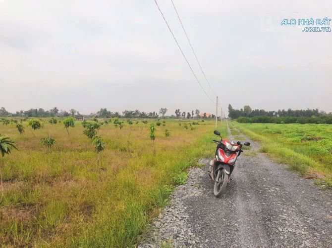 Hàng ngon, 1065m2 đất vườn 20x 53m , view kênh cực đẹp, 870tr - 5