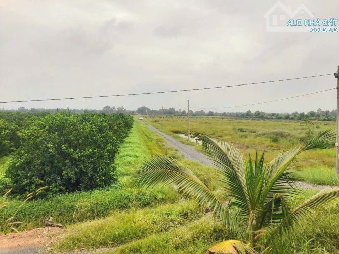 Hàng ngon, 1065m2 đất vườn 20x 53m , view kênh cực đẹp, 870tr - 6