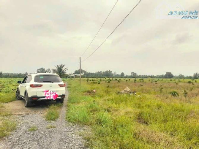 Hàng ngon, 1065m2 đất vườn 20x 53m , view kênh cực đẹp, 870tr - 8