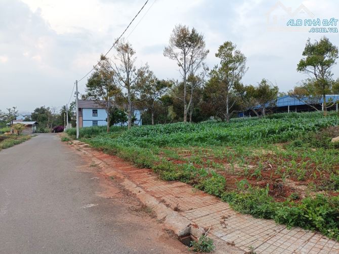 Cần bán đất ven sông xã Hiệp Thạnh giá rẻ - 3