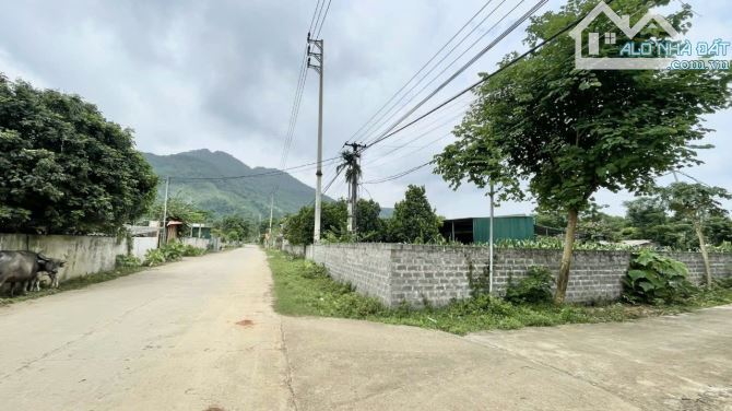 CƠ HỘI VÀNG! 3.X TỶ! 1.000m2 lô góc 2 mặt tiền, gần Satoyama Cư Yên, Đường 3 ô tô, phù hợp