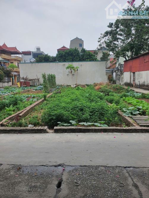 Bán đất đẹp tại tổ 11, TT Quang Minh, Mê Linh,  98m2 full thỏ cư đất đô thị, nở hậu 2cm