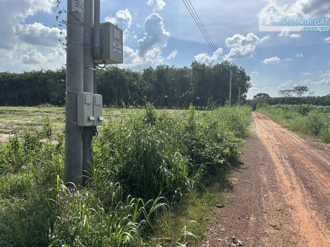 Bán đất Long Nguyên - Bàu Bàng. DT 2Ha - 2